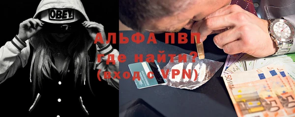 сатива Аркадак