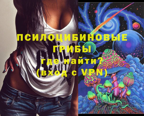 ПСИЛОЦИБИНОВЫЕ ГРИБЫ Арсеньев