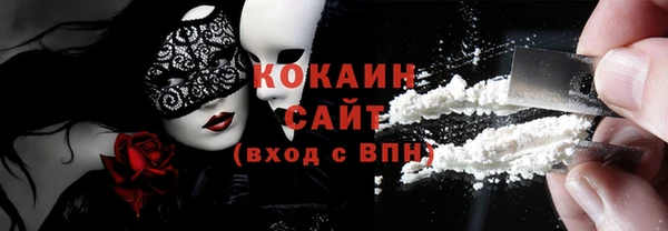 СК Алексин
