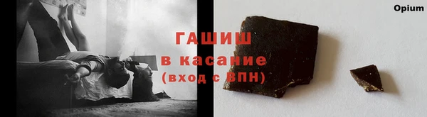 сатива Аркадак