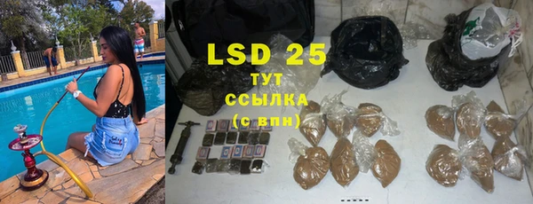 сатива Аркадак